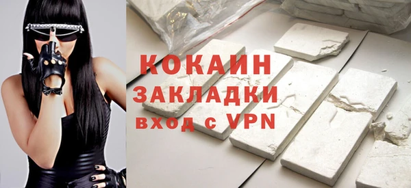 ГАЛЛЮЦИНОГЕННЫЕ ГРИБЫ Богданович