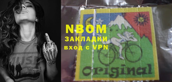 ГАЛЛЮЦИНОГЕННЫЕ ГРИБЫ Богданович