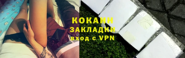 ГАЛЛЮЦИНОГЕННЫЕ ГРИБЫ Богданович