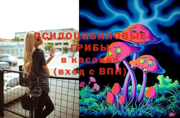 шишки Богородск