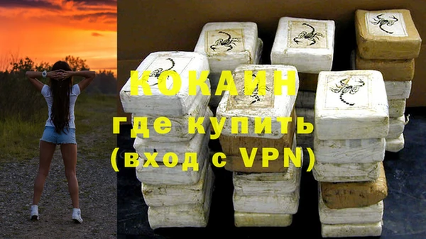 ГАЛЛЮЦИНОГЕННЫЕ ГРИБЫ Богданович