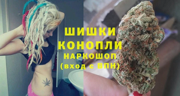ГАЛЛЮЦИНОГЕННЫЕ ГРИБЫ Богданович
