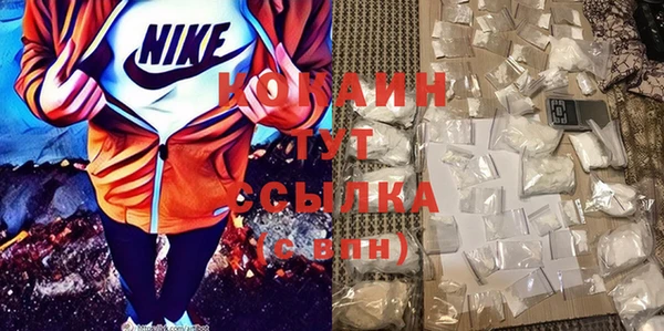 тгк Богородицк