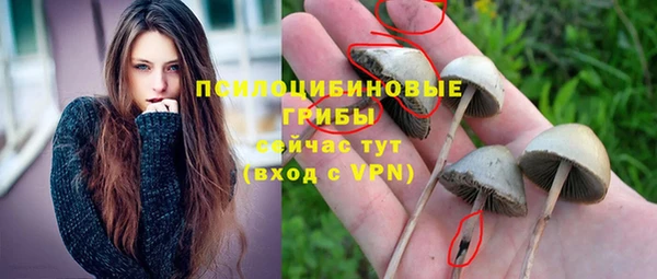 ГАЛЛЮЦИНОГЕННЫЕ ГРИБЫ Богданович