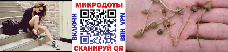 Псилоцибиновые грибы прущие грибы  Купить закладки  Ступино 